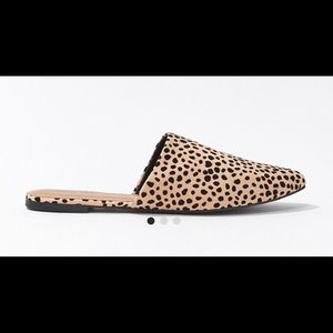 Cheetah Print Shoes! BRAND NEW